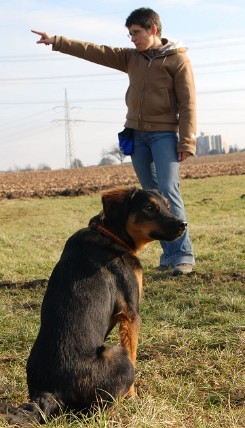 Trainingsstunden